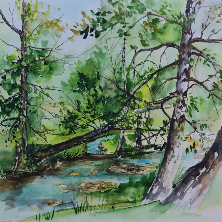 В прохладе горной реки. село. Купчегень